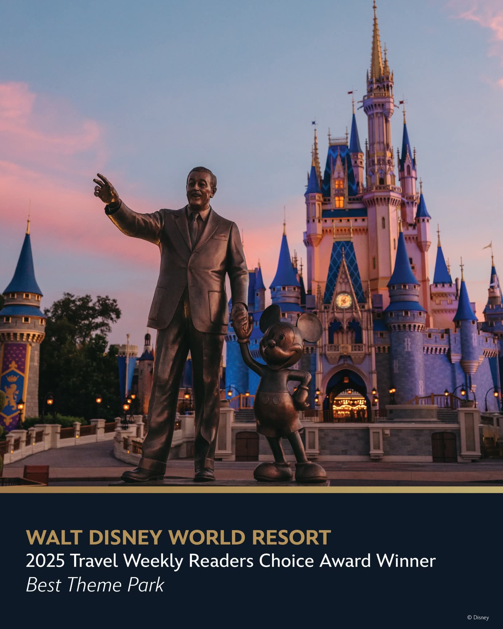 Walt Disney World Vacation Package Deal